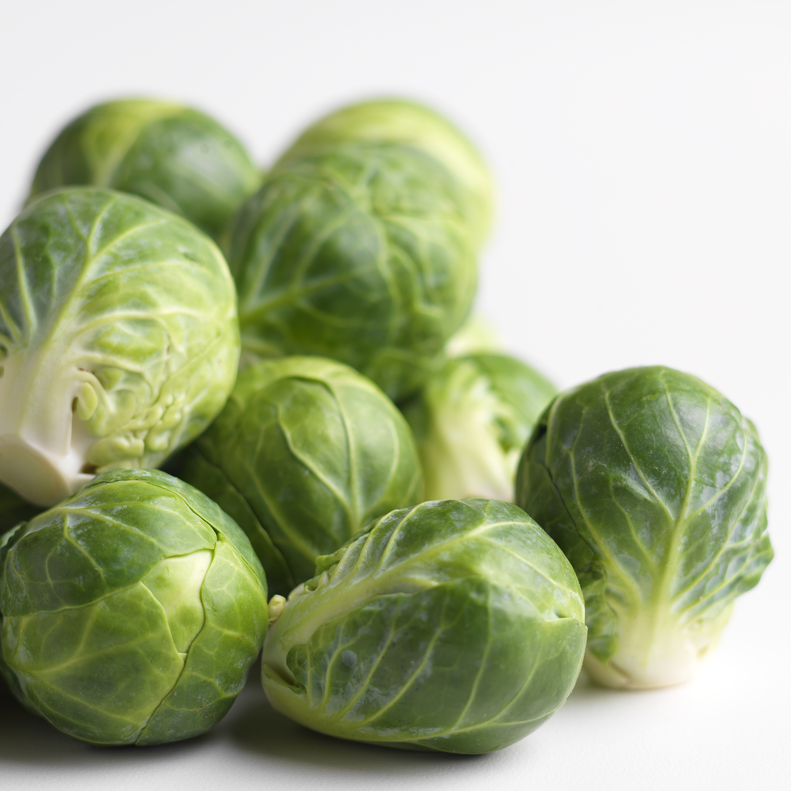 Brussels Sprouts on white background