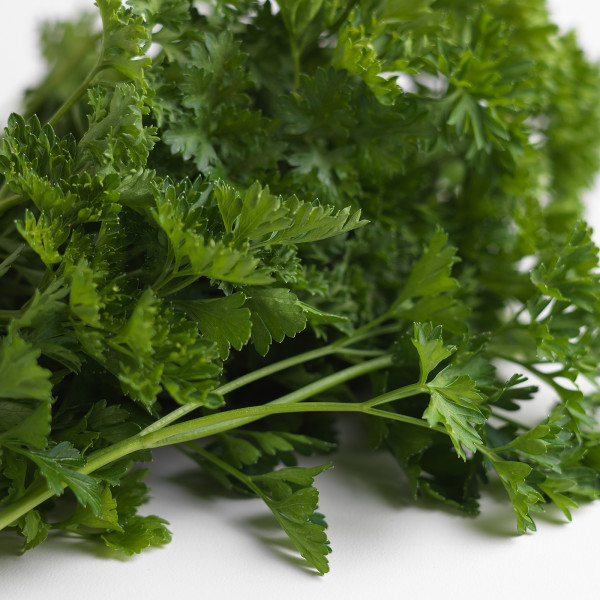 Curly Parsley - Ippolito International